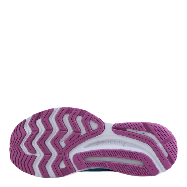 Guide 14 Blue Blaze/berry