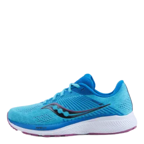 Guide 14 Blue Blaze/berry