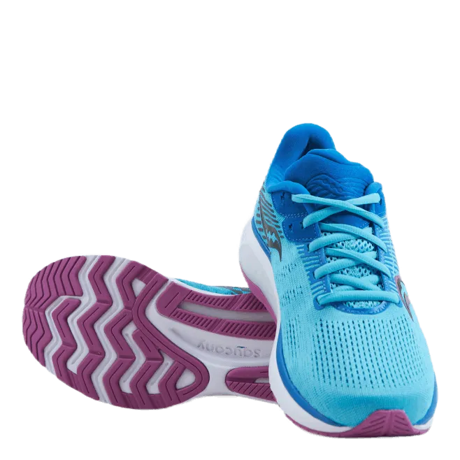 Guide 14 Blue Blaze/berry