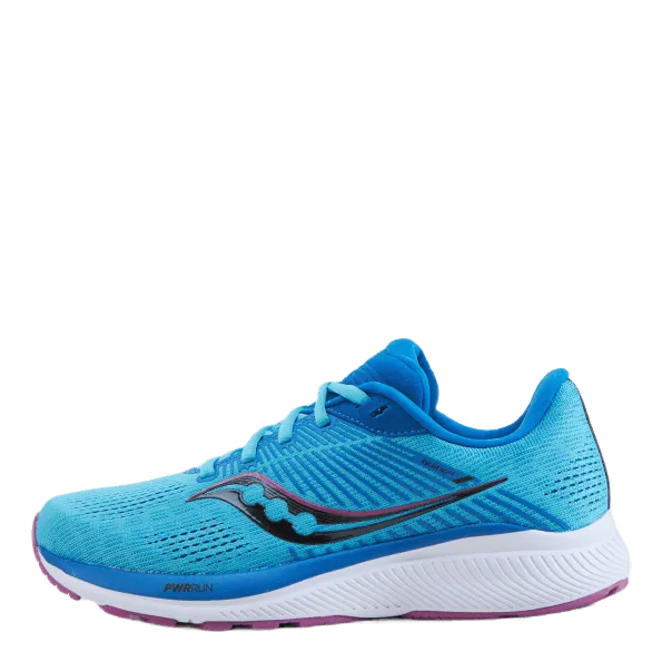 Guide 14 Blue Blaze/berry