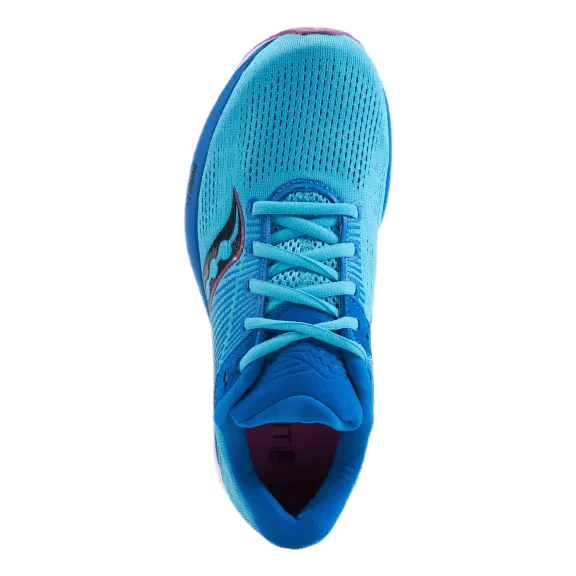 Guide 14 Blue Blaze/berry